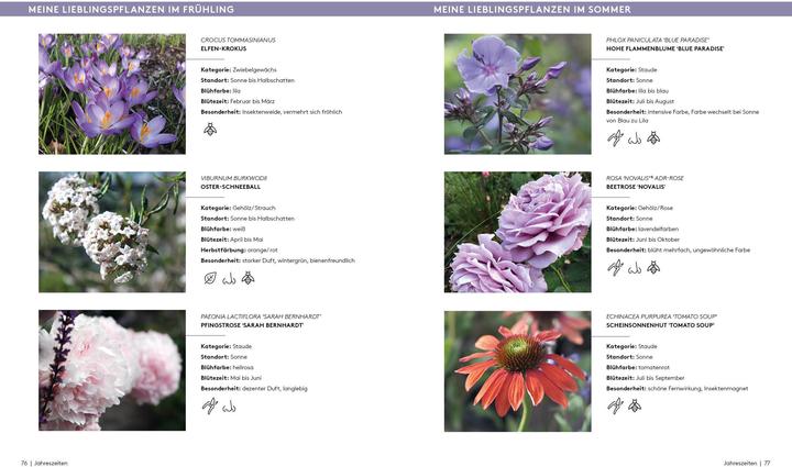 Actual product image Der A bis Z-Gartencoach – Von TV-Gartenprofi Alexandra Lehne (German, Alexandra Lehne, 2021)