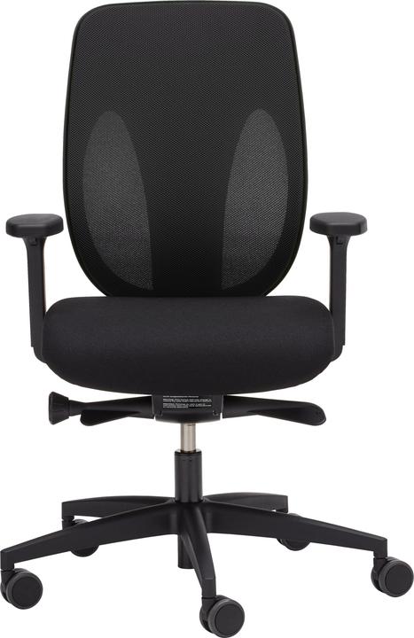 Actual product image Giroflex 353 Netzrücken