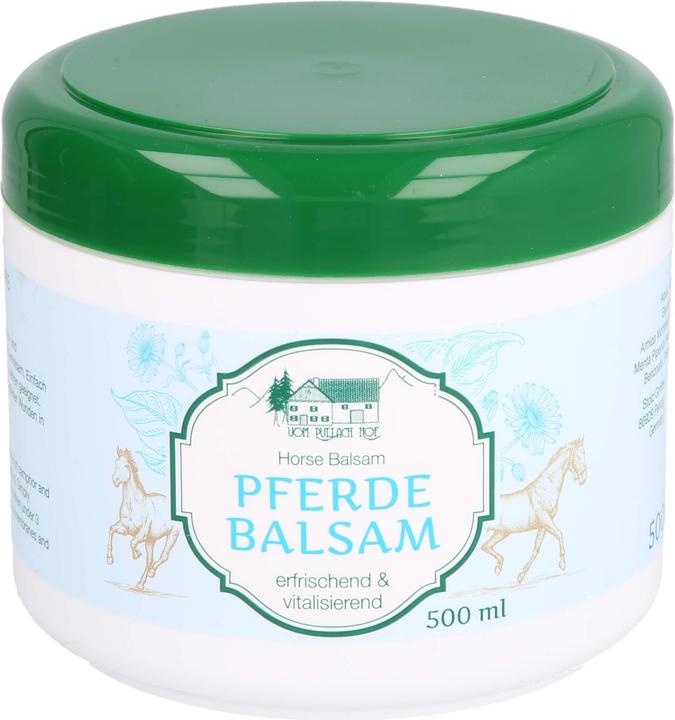 Axisis HERBAMEDICUS Pferdebalsam mit Kräuter-Extrakten bei Muskelkater und Verspannungen, 500 ml Creme (Körpercreme, 500 ml)