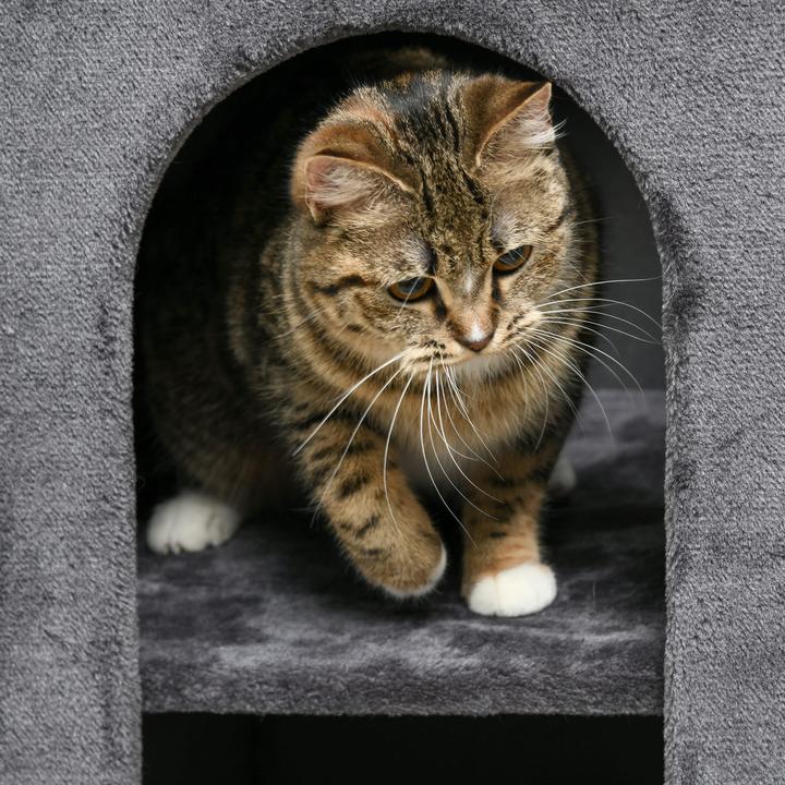Actual product image Jamb Cat scratching post (81 cm, Dark grey)