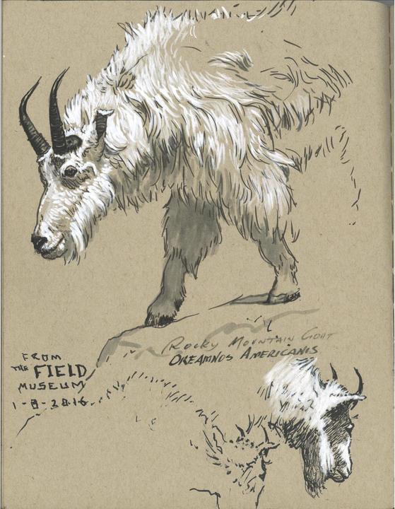 Immagine prodotto Faber-Castell PITT Artista Penna Calligrafia C (Bianco, 1 x)