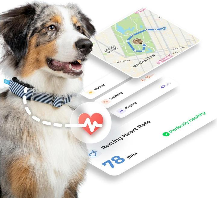 Produktbild Invoxia MiniTailz