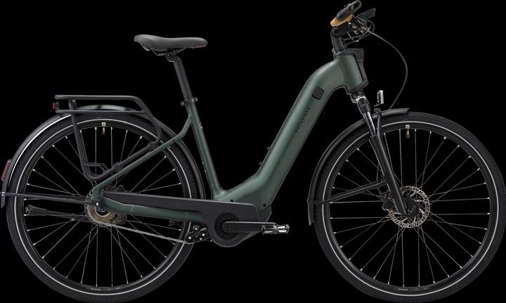 Image du produit Rockrider Vélo électrique de randonnée 28 pouces E-ACTV 900 boîte automatique entrée basse - vert