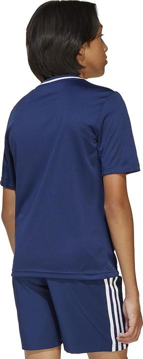 Actual product image adidas Campeon 25 Jersey Kids (116)