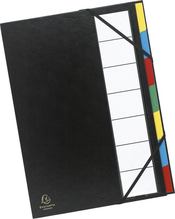 Actual product image Exacompta Ordnungsmappe (A4, 1 x)
