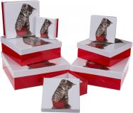 Image du produit Ootb Coffret cadeau rouge / blanc, chat (Papier cadeau, 8 x)