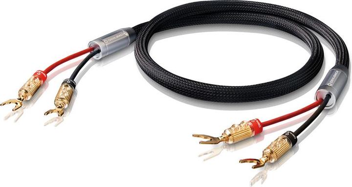 Oehlbach XXL Fusion Two 300 (2.50 m, 4 mm²)