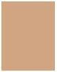 Produktbild Rimmel London Kind & Free Blur It Out Mattifying Skin Tint (163 Golden Vanilla)