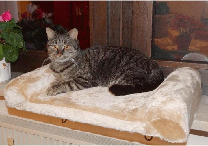 Produktbild Kerbl Fensterliegebrett (Hund, Katze)