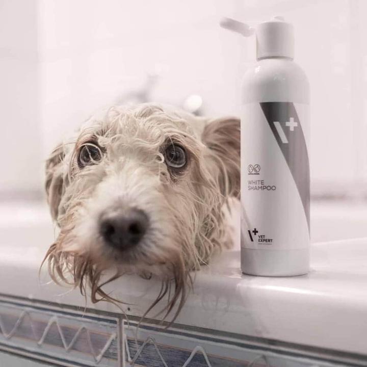 Actual product image Vet Expert Shampoo for white fur (Cat, Dog, 250 ml)