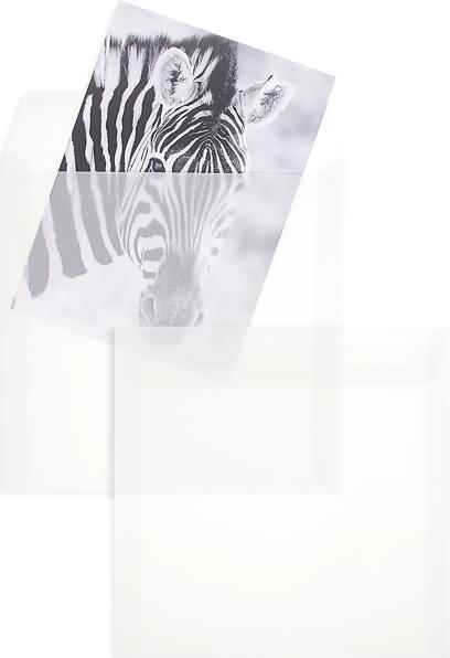 Produktbild Blanke Briefumschläge Offset transparent 220x220mm 110g/qm HK VE=250 Stück weiss (1 x)