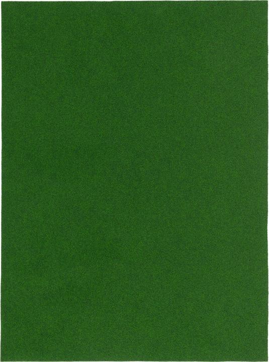 Produktbild Snapstyle Kunstrasen Rasenteppich mit Noppen Kingston (50 x 400 cm)