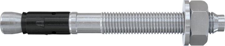 Immagine prodotto Fischer Ancoraggio a cuneo Fisc FAZ II 10/10 K (2) 052267 (2 pz.)