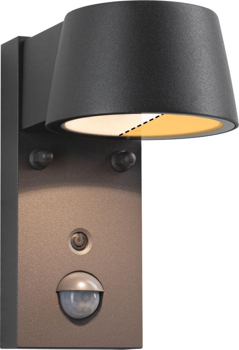 Produktbild Paulmann Capea (580 lm, IP44)