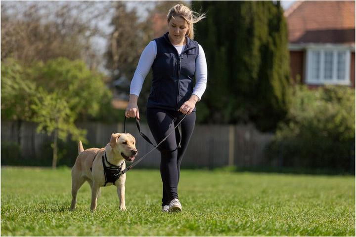Immagine prodotto Company of Animals Imbracatura Halti No Pull Anti-pull M (M, Cane, Generale)