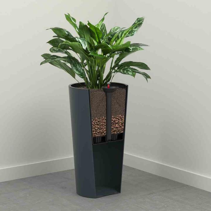 Image du produit Siena Garden Modern (30 cm)