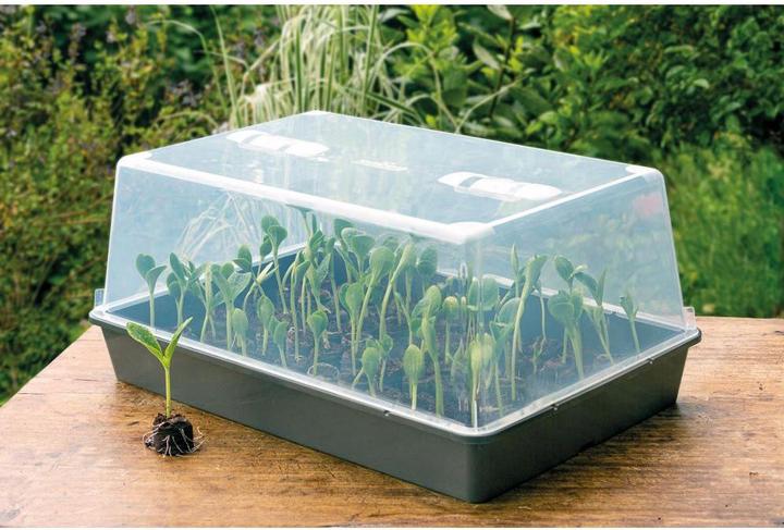 Actual product image Romberg Greenhouse XXL 59 x 39 x 27 cm
