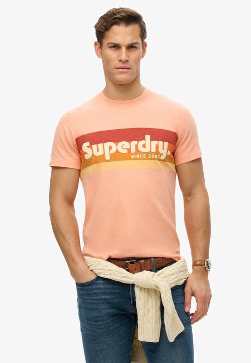 Actual product image Superdry Terrain Logo Stripe Relxed Tee (S)