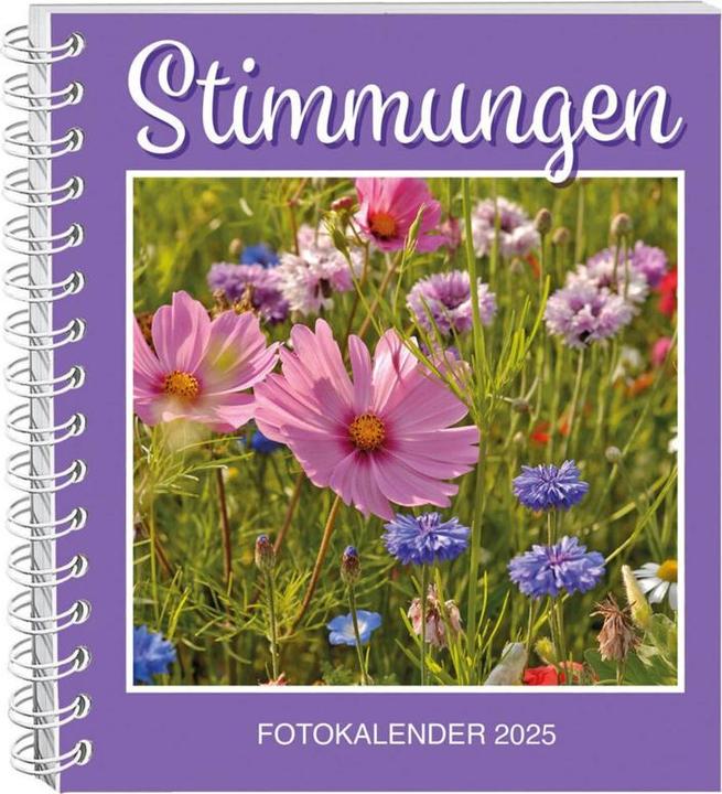 Actual product image Moods photo calendar set of 2 2025 (17 x 20 cm, German)