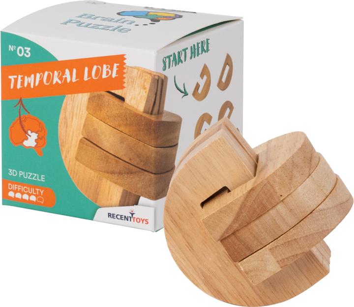 Produktbild Recent Toys Brain Puzzle Nr.3 Temporal Lobe