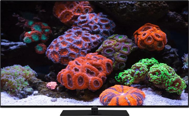 Produktbild Hitachi 55HAQ7350 (55", QLED, 4K, 2021)