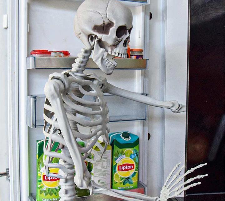Actual product image TOP Life size skeleton