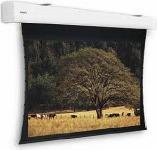 Immagine prodotto Projecta Teso Elpro Large Electrol 255x400 HD Pro 0.9 16:10 (181", 16:10)