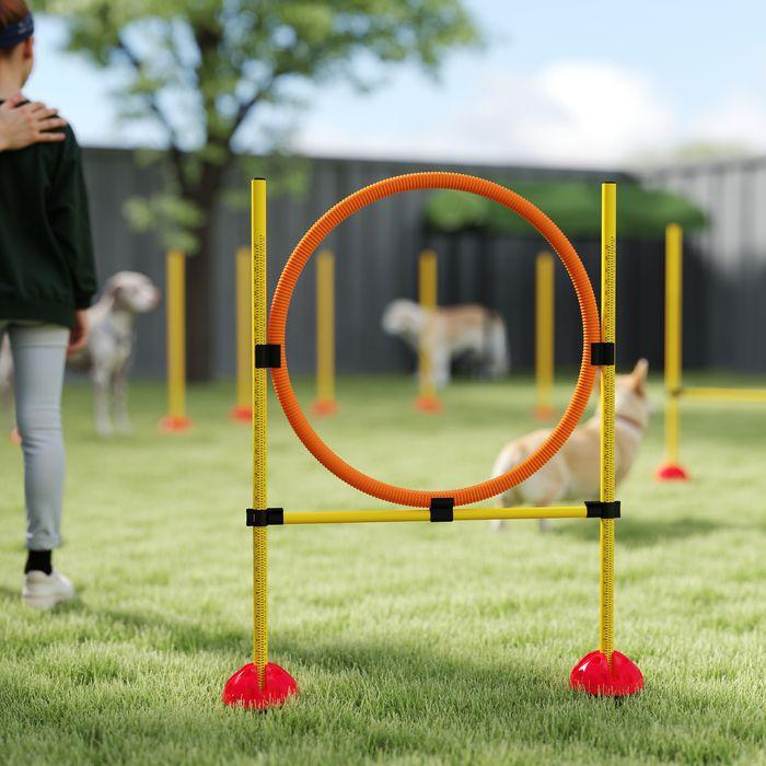 Immagine prodotto Swisshandel24 Agility Set Hunde 3-teiliges befüllbar Agility-Ausrüstung für Hundetraining (Destrezza)