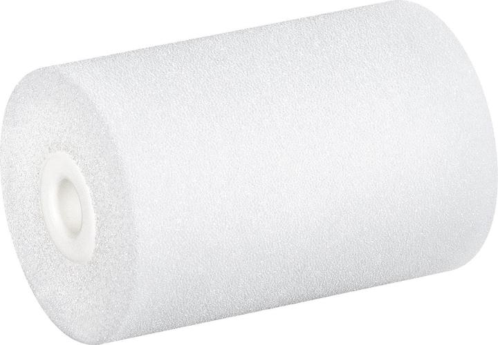 Color Expert Foam Roller (5 cm)