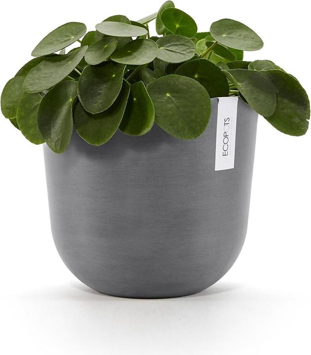 Produktbild Ecopots Oslo (25.50 cm)