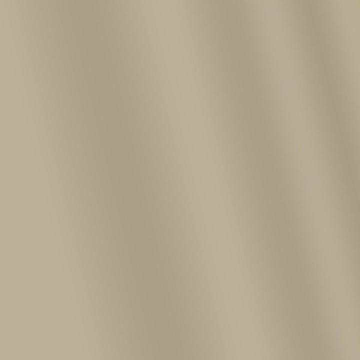 Produktbild Amsterdam Acrylfarbe Reliefpaint 815 (Zinn, 20 ml)
