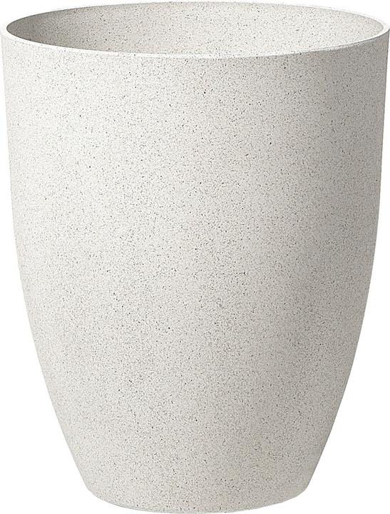 Image du produit Beliani Croton (43 cm)