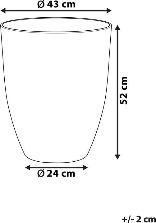 Image du produit Beliani Croton (43 cm)