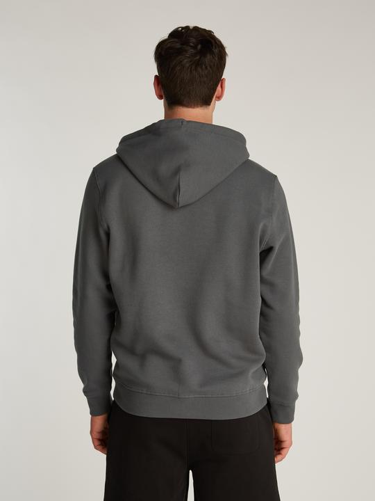 Produktbild Tommy Jeans Tjm Reg Linear Logo Hoodie Ext (L)