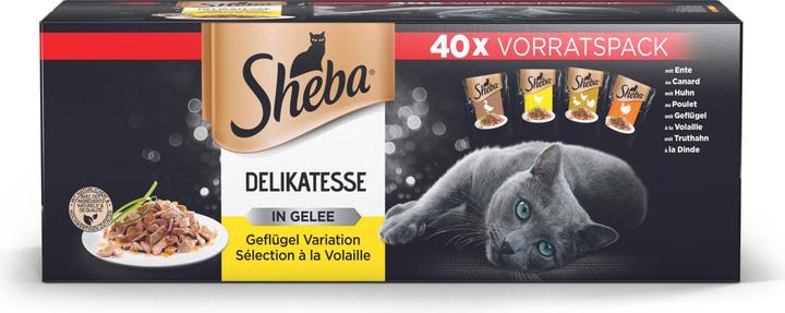 Image du produit Sheba Délicatesse de la gelée (Adulte, 40 pcs, 3400 g)