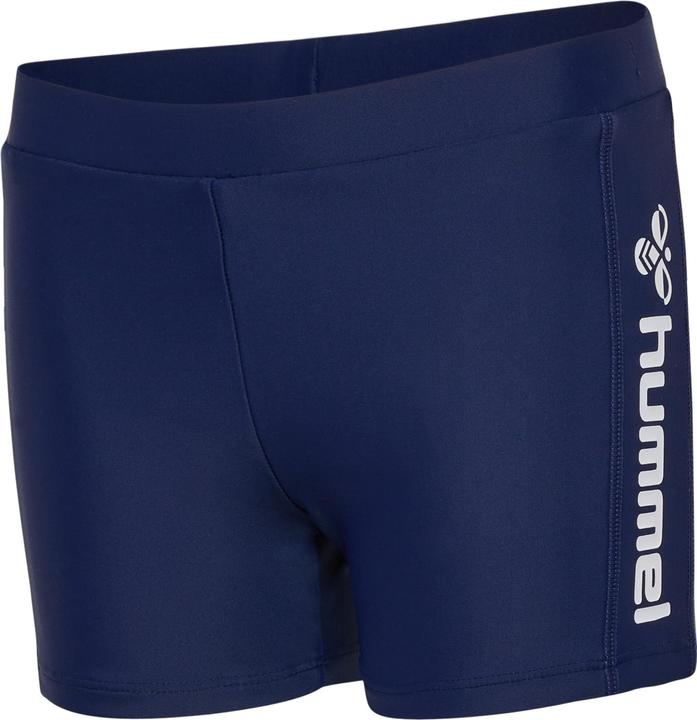Image du produit hummel Hmldavid Swim Shorts (104)