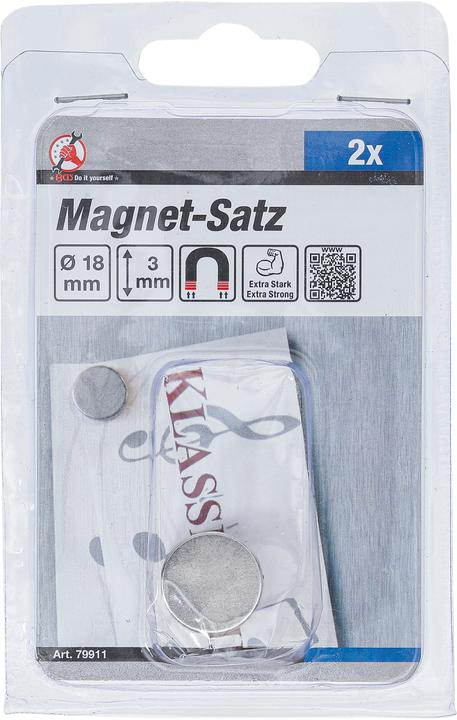 Actual product image BGS Magnet set (2 x)