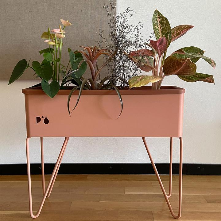 Actual product image Pia-Plantbox Planter medium (20 cm)