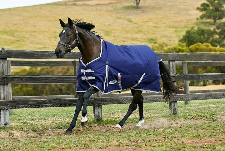 Produktbild Weatherbeeta Comfitec Lite Essential Standard Pferdedecke (140 cm)