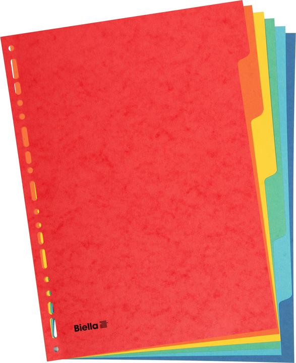 Produktbild Biella TOP COLOR - Register A4