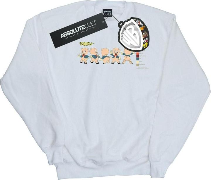 Produktbild Looney Tunes Porky Pig Colour Code Sweatshirt (M)