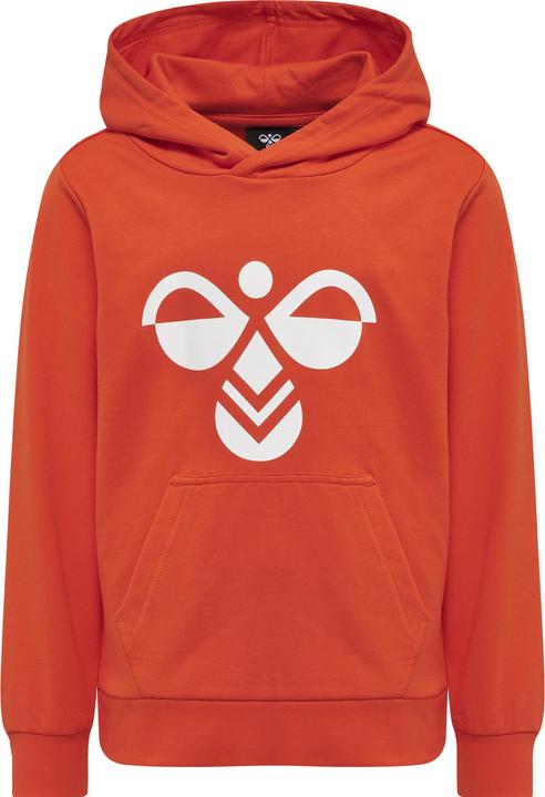 Actual product image hummel Cuatro Hoodie (104)