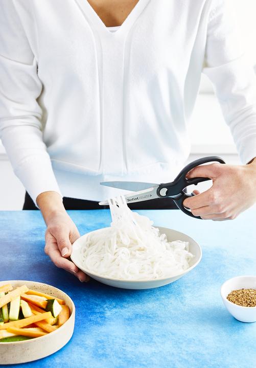Image du produit Tefal Ingenio Ciseaux Ice Force (21.20 cm)