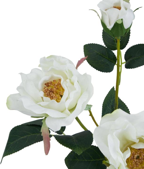 Image du produit Hill Interiors - Fleur artificielle THE NATURAL GARDEN COLLECTION (60 cm)