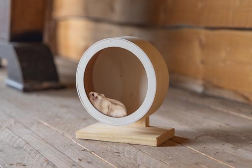 Actual product image Karlie Bogie Wheel Cork