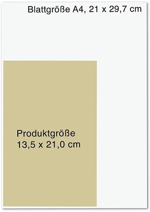 Produktbild Die Insel des Zorns (Deutsch, Alex Michaelides, 2024)