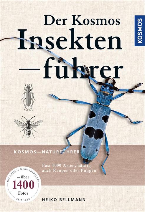 Produktbild Kosmos Der Insektenführer (Deutsch, Dr. Heiko Bellmann, 2018)
