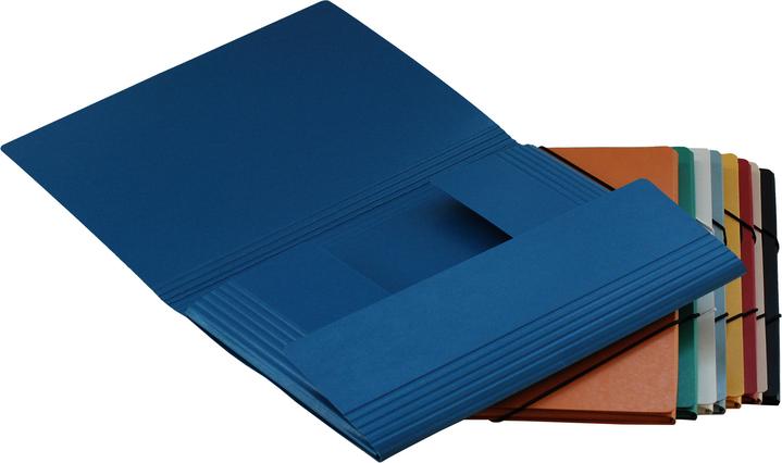 Image du produit Erola Dossier de classement A4 vert avec fenêtre + 3 rabats (A4, 1 x)