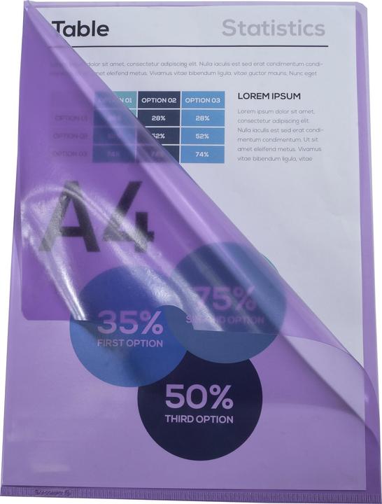 Actual product image Exacompta Aktensichthüllen (A4, 10 x)