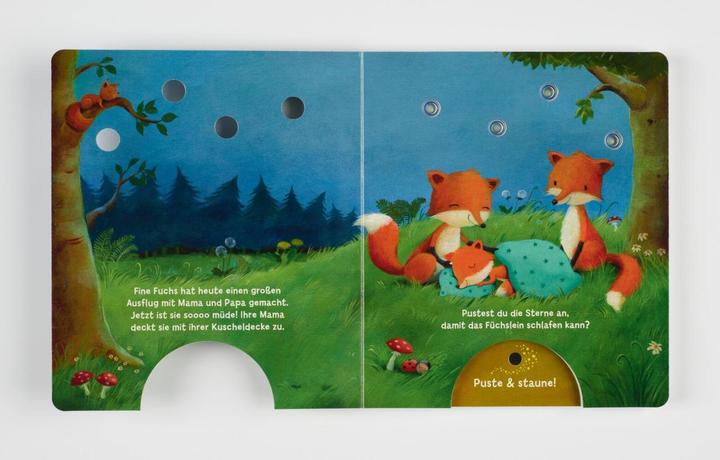 Produktbild Mein Puste-Licht-Buch: Wenn im Dunkeln Sterne funkeln (Deutsch, Christina Nömer, 2020)
